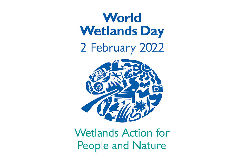 Te Awamutu Museum celebrates World Wetlands Day 2022