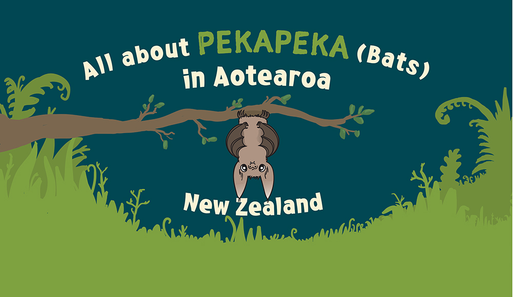 Pekapeka in Aotearoa New Zealand